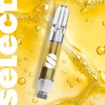 Banana Punch 1g Cartridge