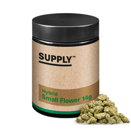 Billy Ocean 14g Small Buds