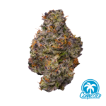 Cherry Marker 3.5g Whole Flower