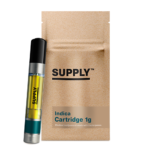 Cherryberry Cream 1g Cartridge