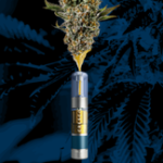 Critical Purple Kush 0.5g Live Resin Cartridge