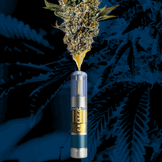 Critical Purple Kush 0.5g Live Resin Cartridge