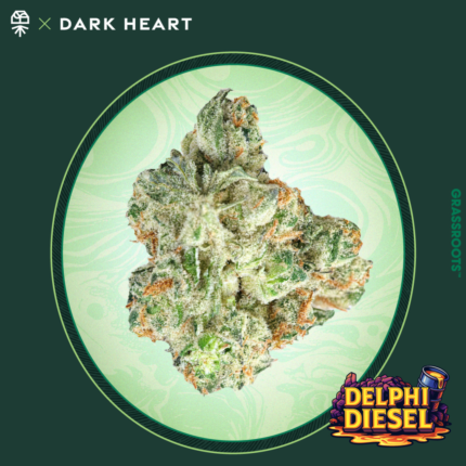 Delphi Diesel 28g Whole Flower