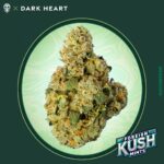 Foreign Kush Mints 3.5g Whole Flower