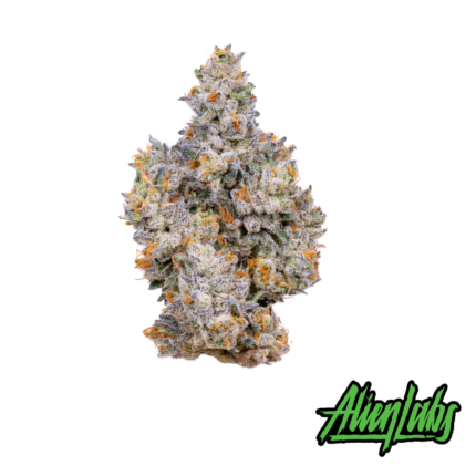 Gemini 3.5g Whole Flower