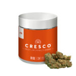 GMO Pop 7g Small Buds