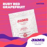 Grapefruit 100mg ea | 10-Pack High Dose Troches