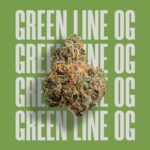 Green Line OG 3.5g Whole Flower