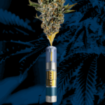 Kush Crasher 0.5g Live Resin Cartridge