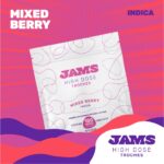 Mixed Berry 100mg ea | 10-Pack High Dose Troches