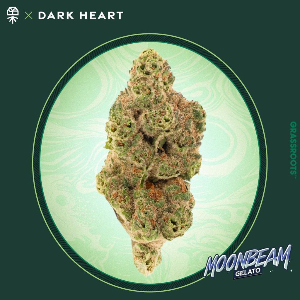 Moon Beam Gelato 3.5g Whole Flower Moon Beam Gelato 3.5g Whole Flower