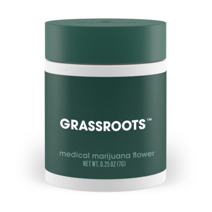 Pillow MNTS 7g Small Buds