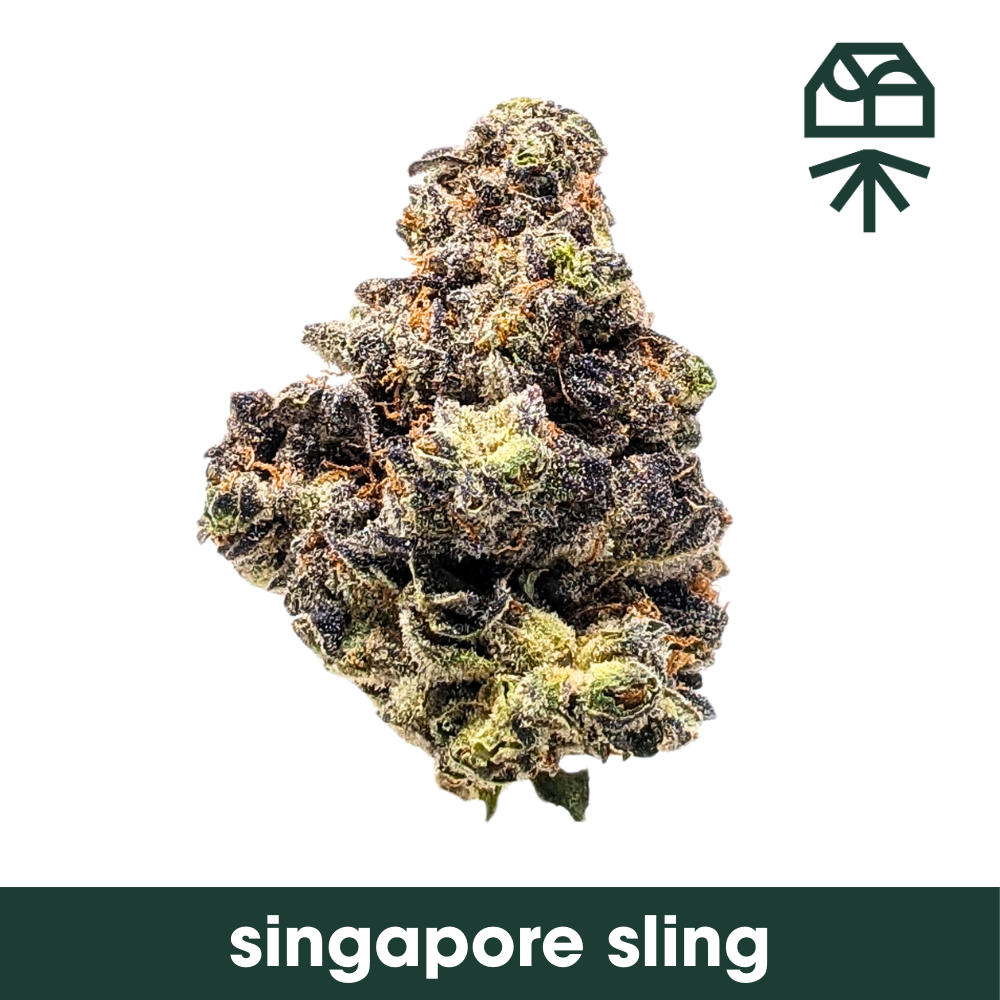 Singapore Sling 3.5g Whole Flower Singapore Sling 3.5g Whole Flower