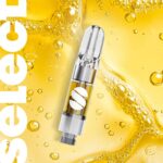 Sour Z 0.5g Cartridge