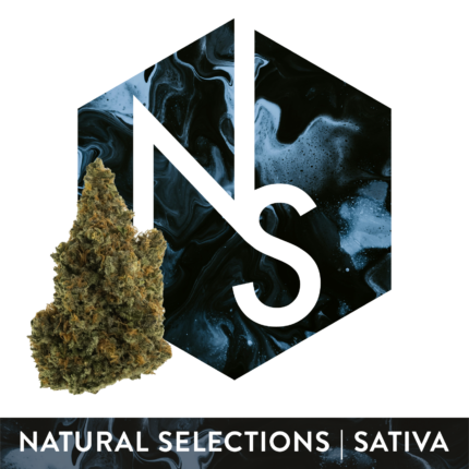 Wizard Spray #1 3.5g Whole Flower