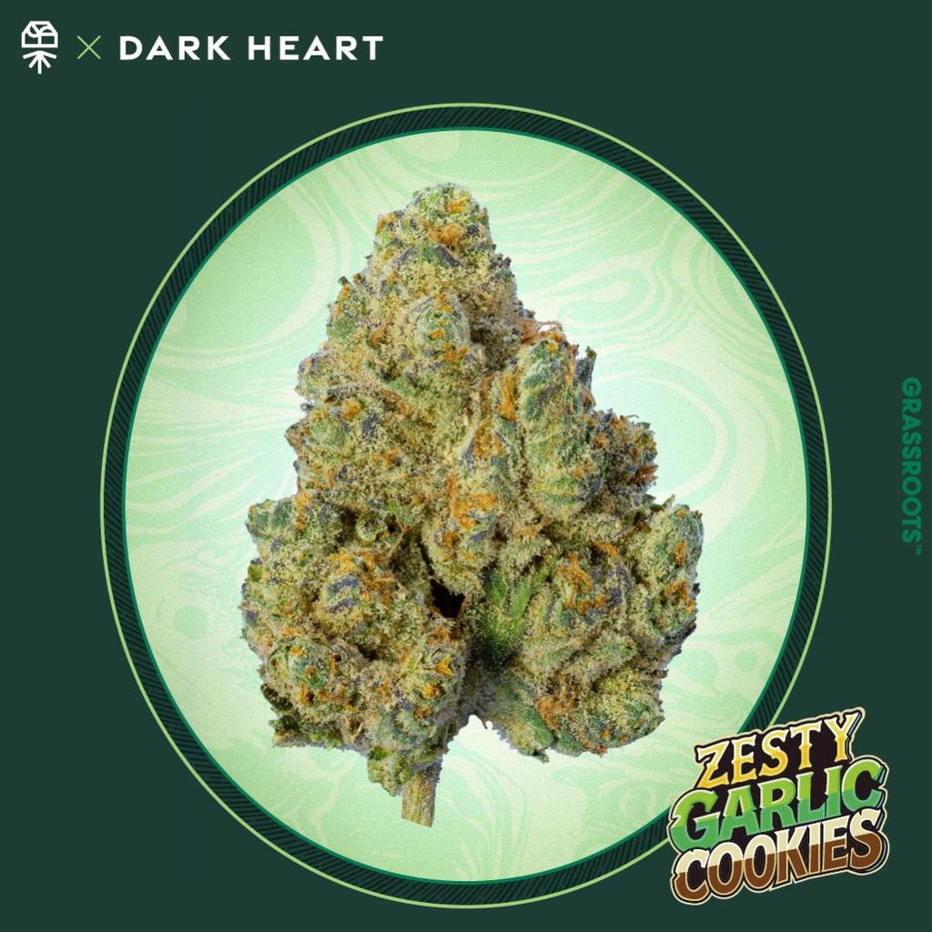 Zesty Gahlic Cooks 7g Small Buds Zesty Gahlic Cooks 7g Small Buds